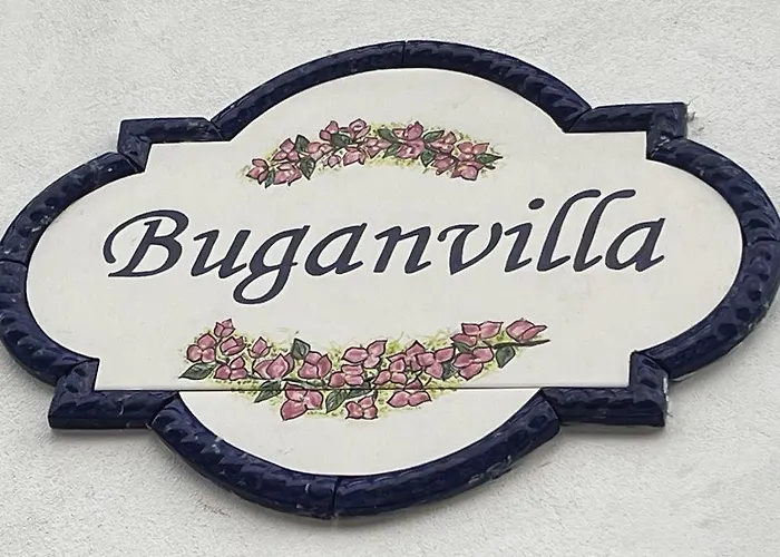 Buganvilla No 4